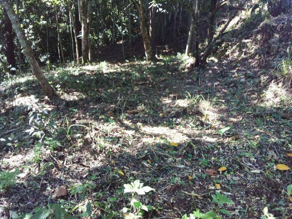 Terreno, 1789 m² - Foto 2