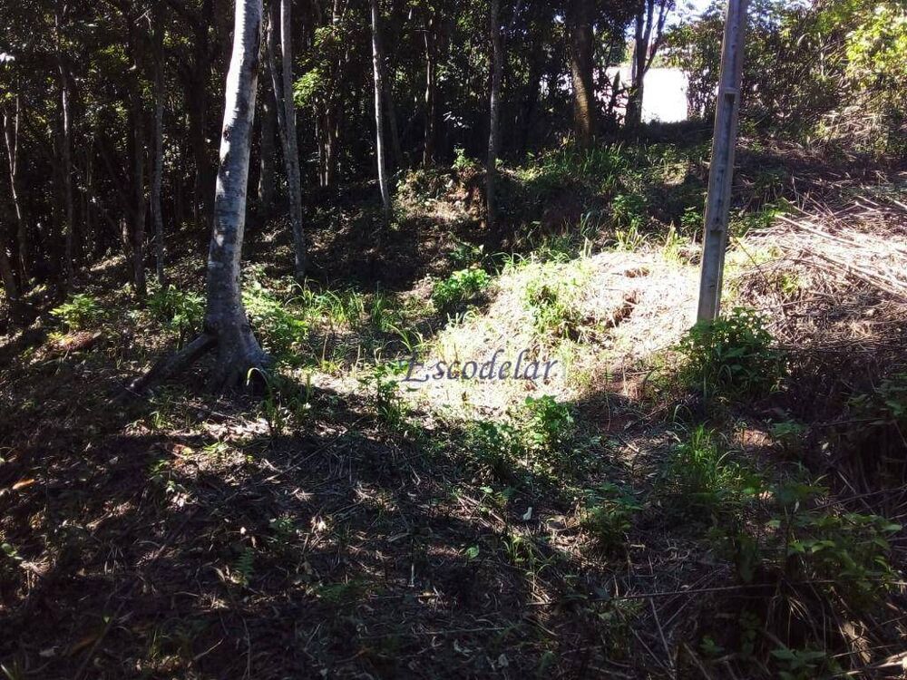 Terreno, 1789 m² - Foto 4