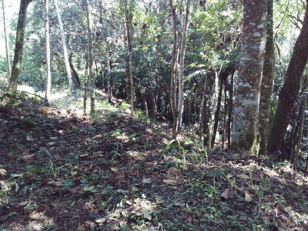 Terreno, 1789 m² - Foto 1