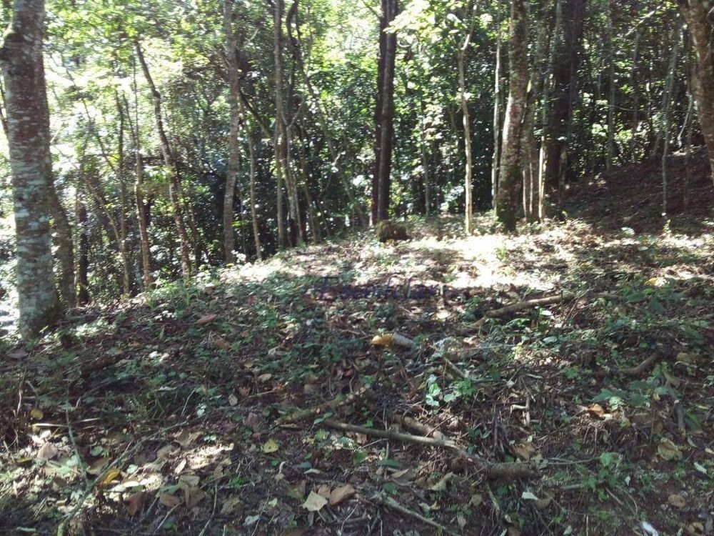 Terreno, 1789 m² - Foto 3