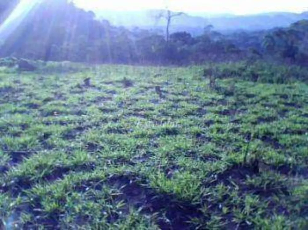 Terreno, 5 hectares - Foto 1
