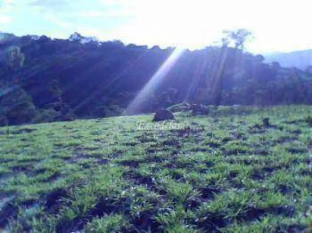 Terreno, 5 hectares - Foto 2