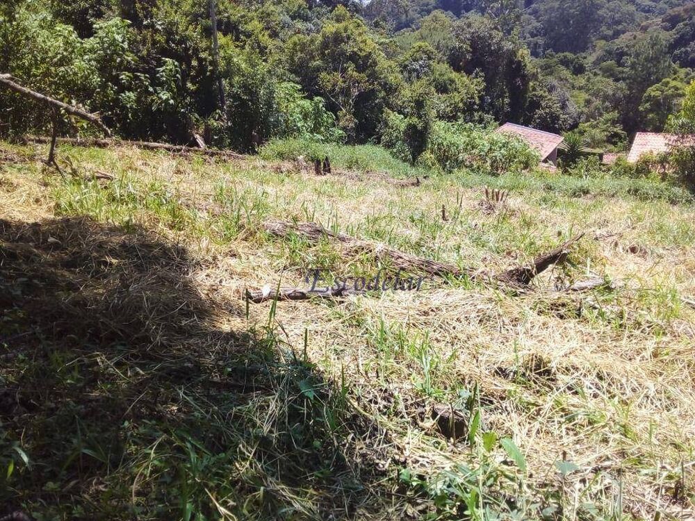 Terreno, 536 m² - Foto 3