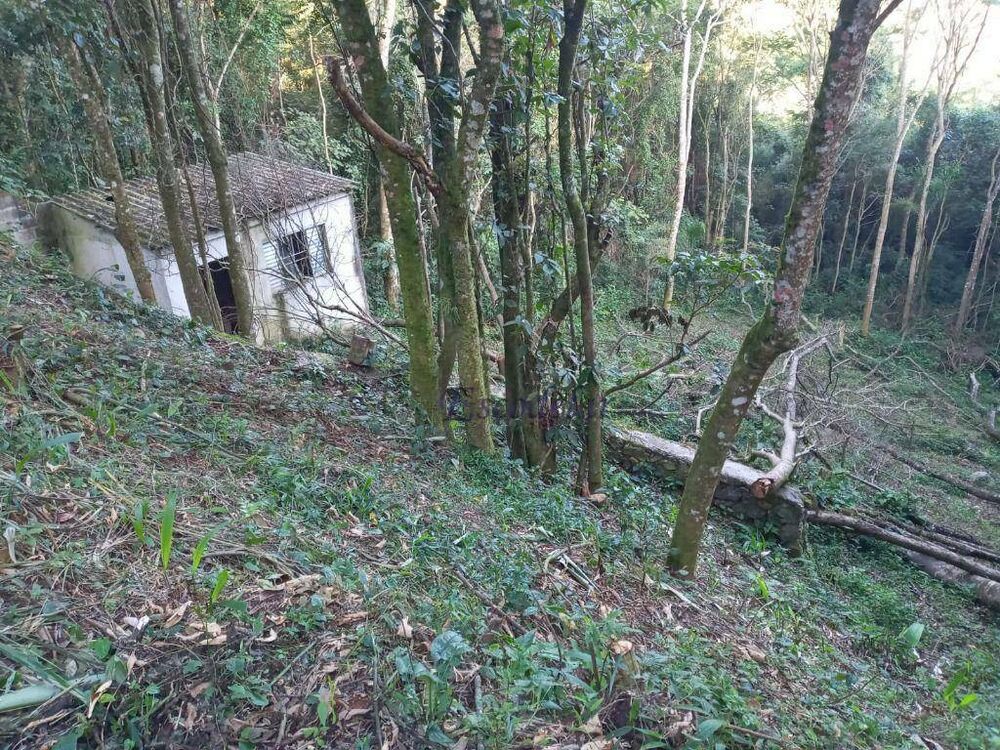 Terreno, 250 m² - Foto 3