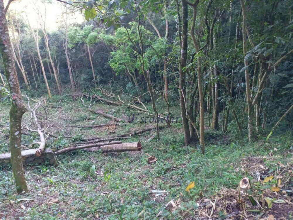 Terreno, 250 m² - Foto 2