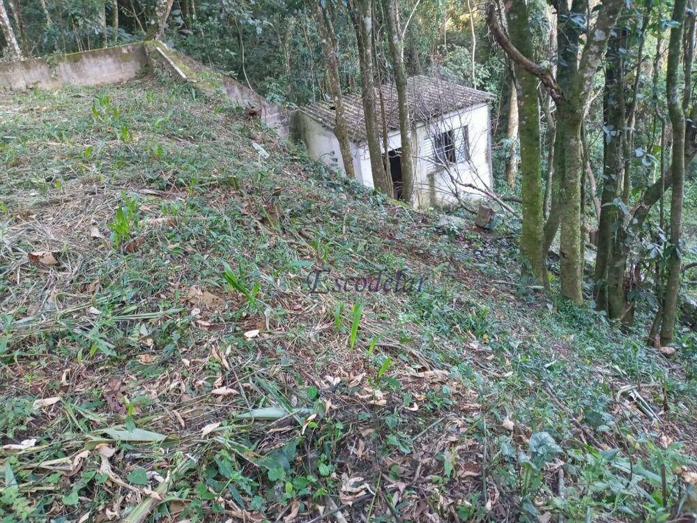 Terreno, 250 m² - Foto 4