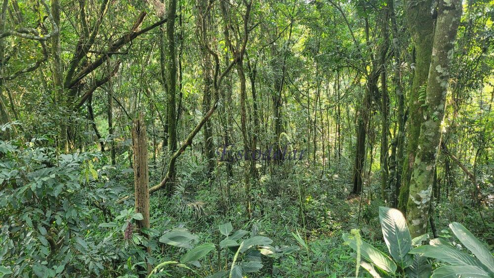 Loteamento e Condomínio, 1480 m² - Foto 3