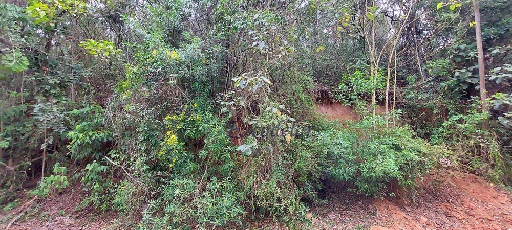 Terreno à venda, 848M2 - Foto 3