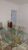 Apartamento, 3 quartos, 132 m² - Foto 5