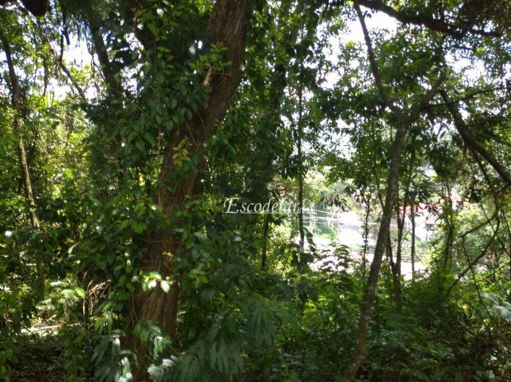 Terreno, 400 m² - Foto 10