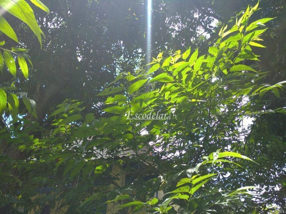 Terreno, 400 m² - Foto 9