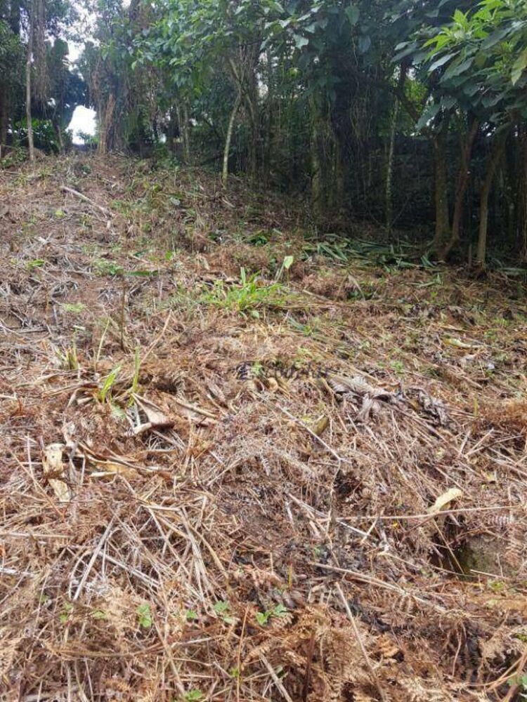Terreno, 460 m² - Foto 8