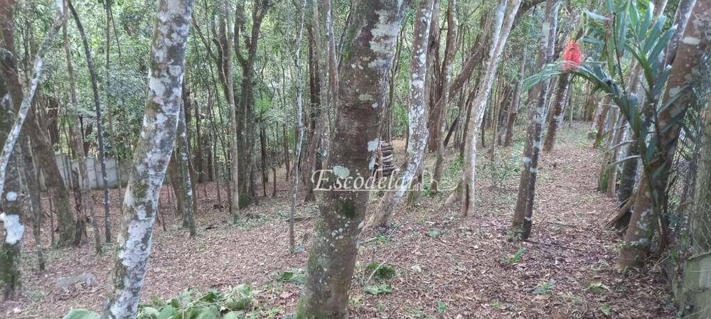 Terreno, 1250 m² - Foto 3