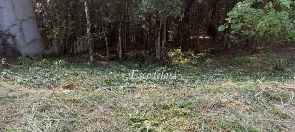 Terreno, 1250 m² - Foto 1