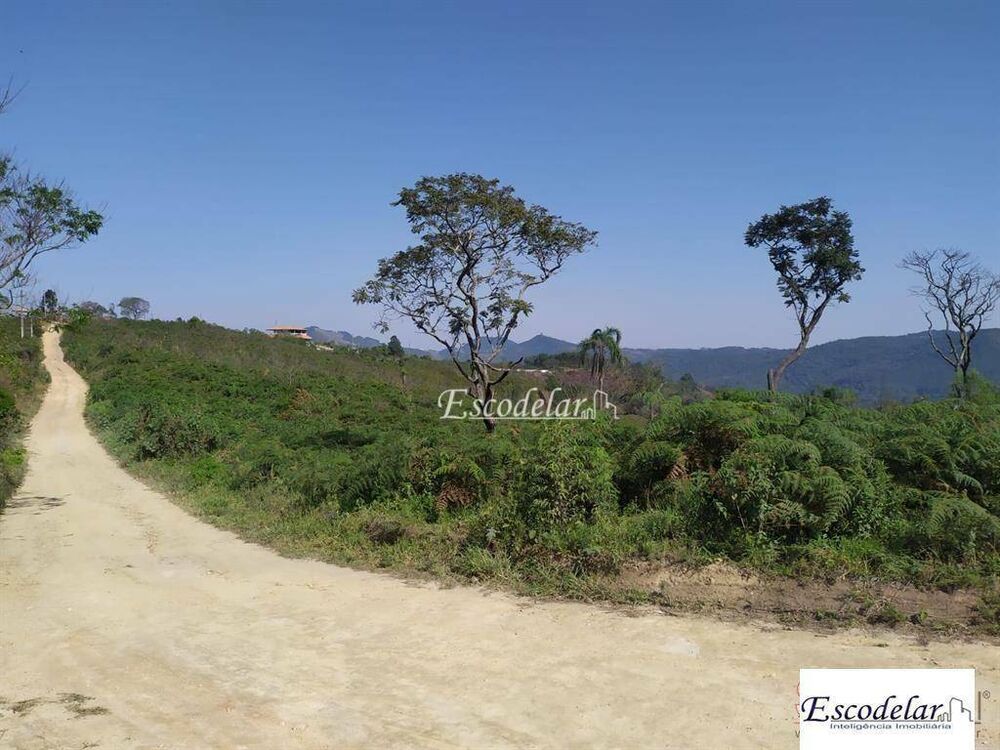 Terreno, 7000 m² - Foto 7