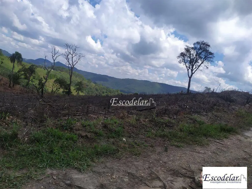 Terreno, 7000 m² - Foto 12