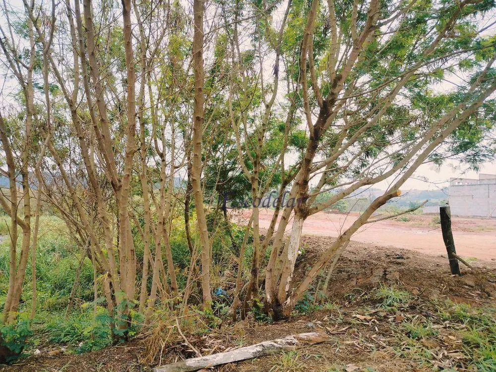 Terreno, 5000 m² - Foto 6