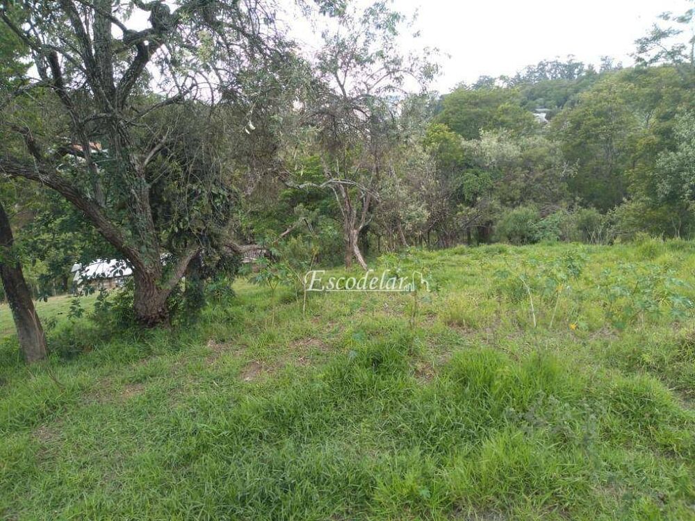 Terreno, 3 hectares - Foto 7