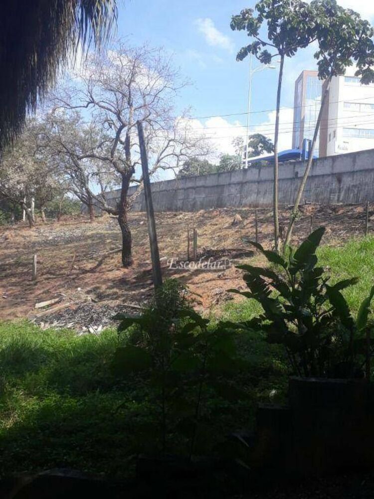 Terreno, 3 hectares - Foto 5