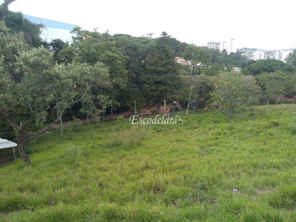Terreno, 3 hectares - Foto 1