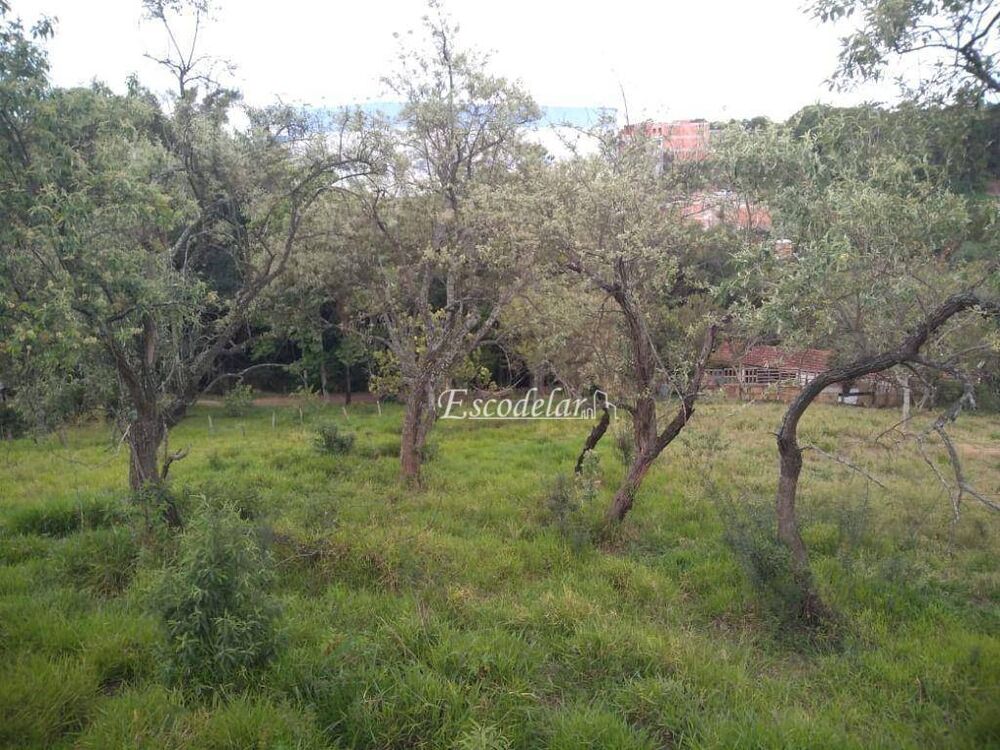 Terreno, 3 hectares - Foto 8
