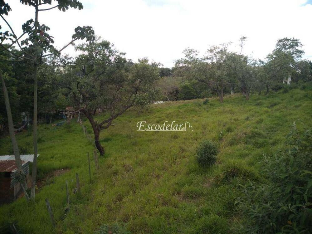 Terreno, 3 hectares - Foto 11