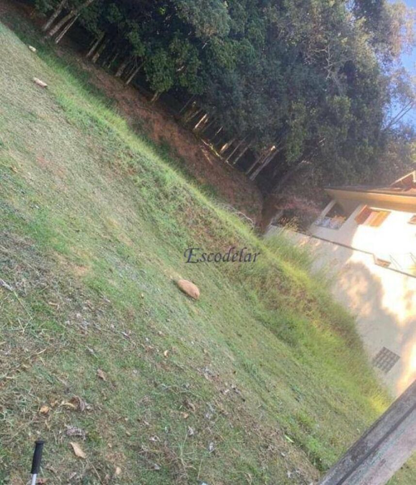 Terreno, 602 m² - Foto 4