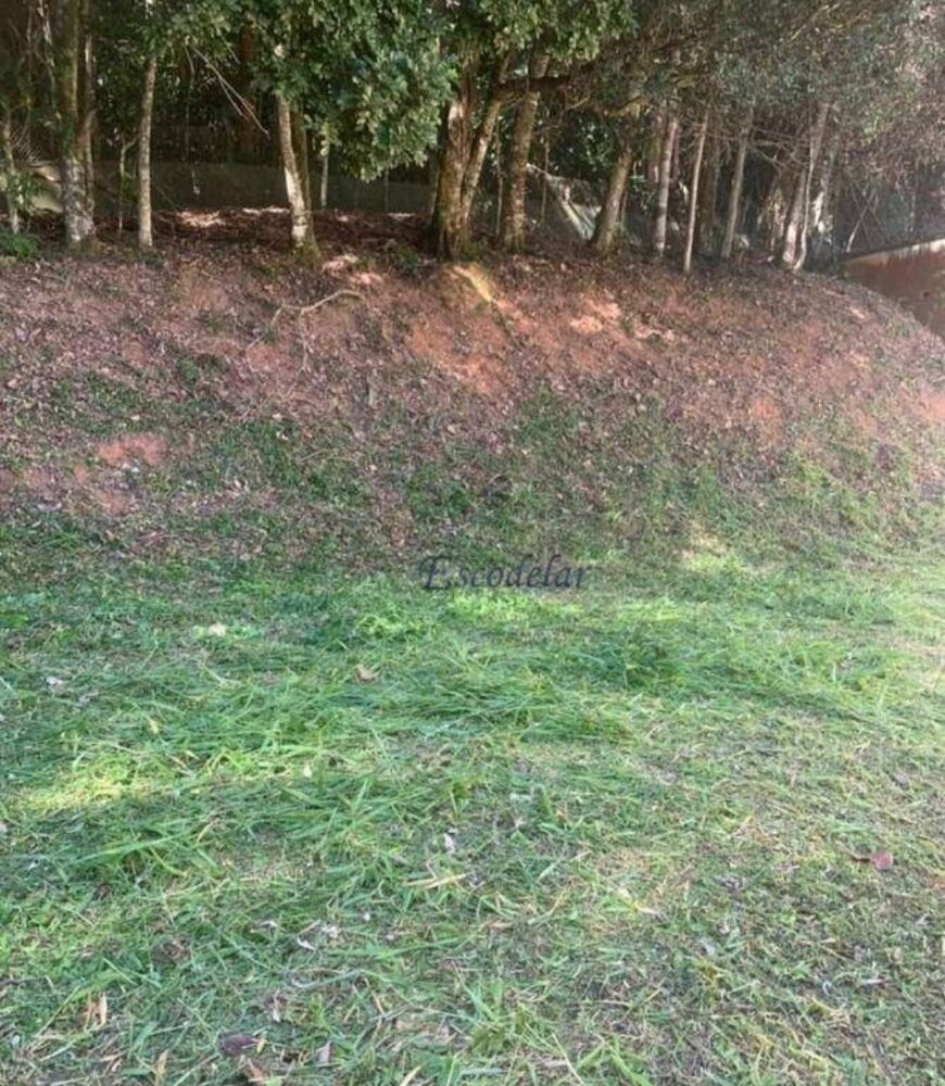 Terreno, 602 m² - Foto 8