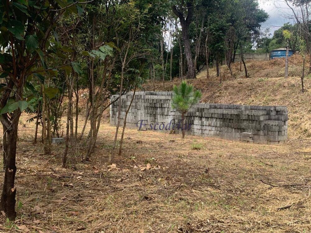 Terreno, 4376 m² - Foto 3