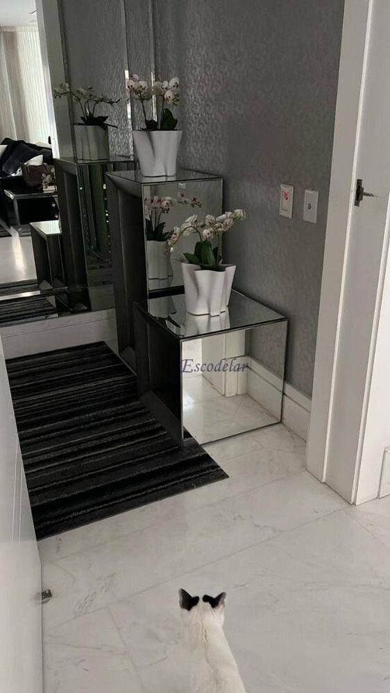Apartamento à venda com 3 quartos, 250m² - Foto 12