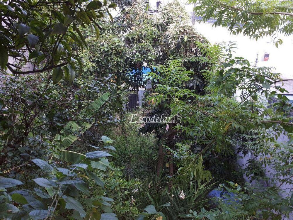 Terreno, 1800 m² - Foto 21