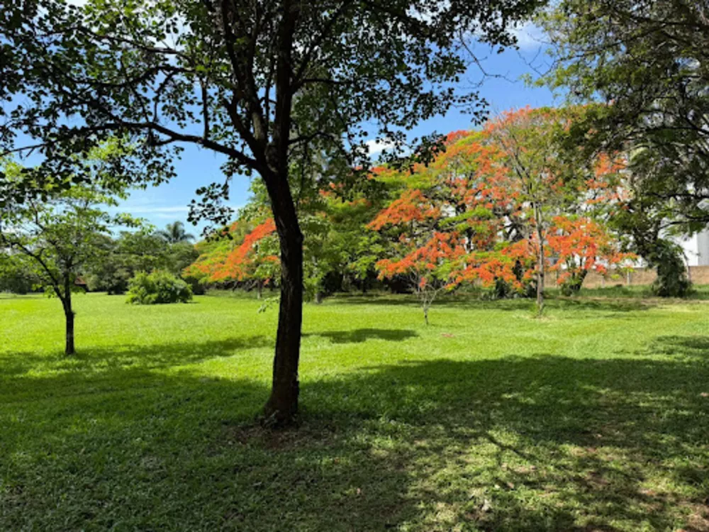 Chácara, 4 quartos, 3 hectares - Foto 15