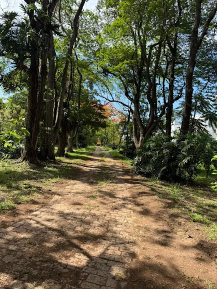 Chácara, 4 quartos, 3 hectares - Foto 11