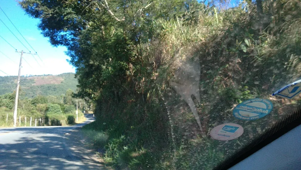 Terreno, 3 hectares - Foto 13