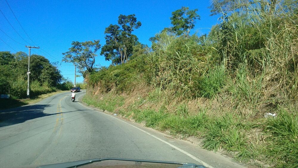 Terreno, 3 hectares - Foto 6