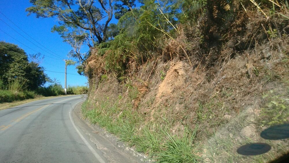 Terreno, 3 hectares - Foto 7