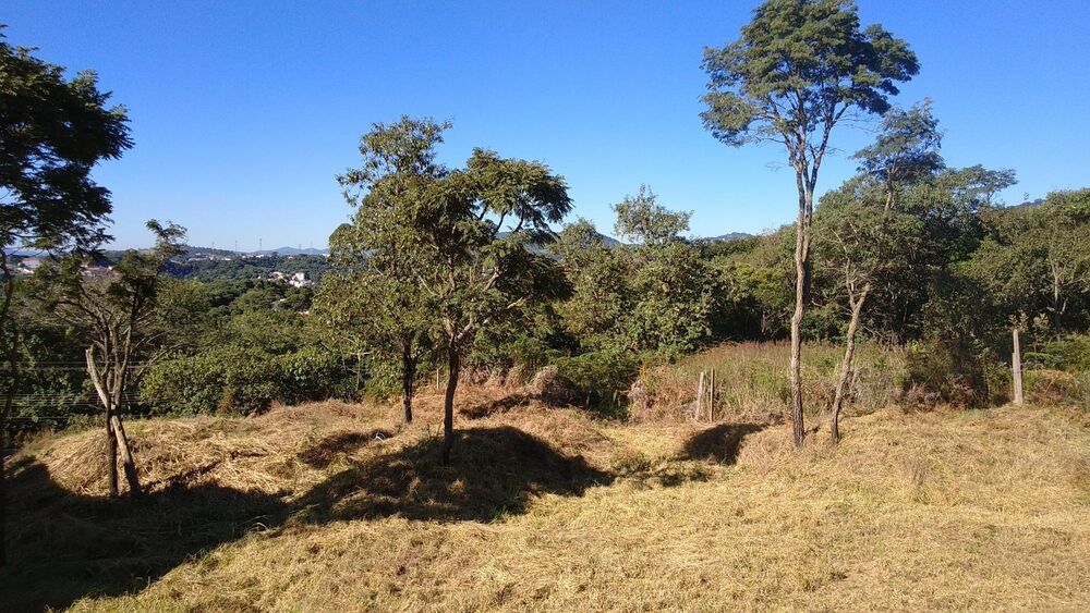 Terreno, 3 hectares - Foto 10
