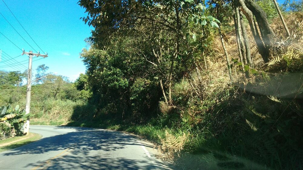 Terreno, 3 hectares - Foto 4
