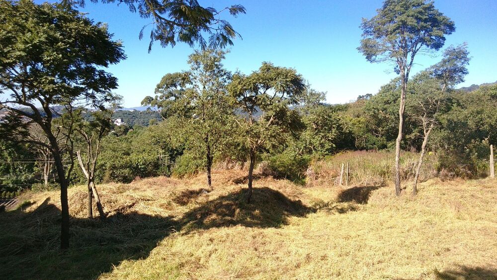 Terreno, 3 hectares - Foto 12