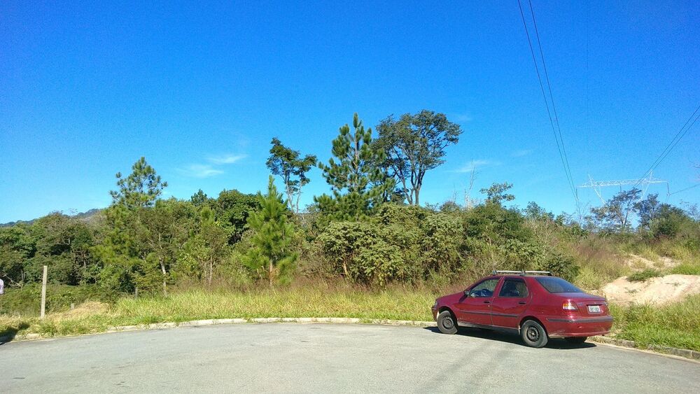 Terreno, 3 hectares - Foto 1