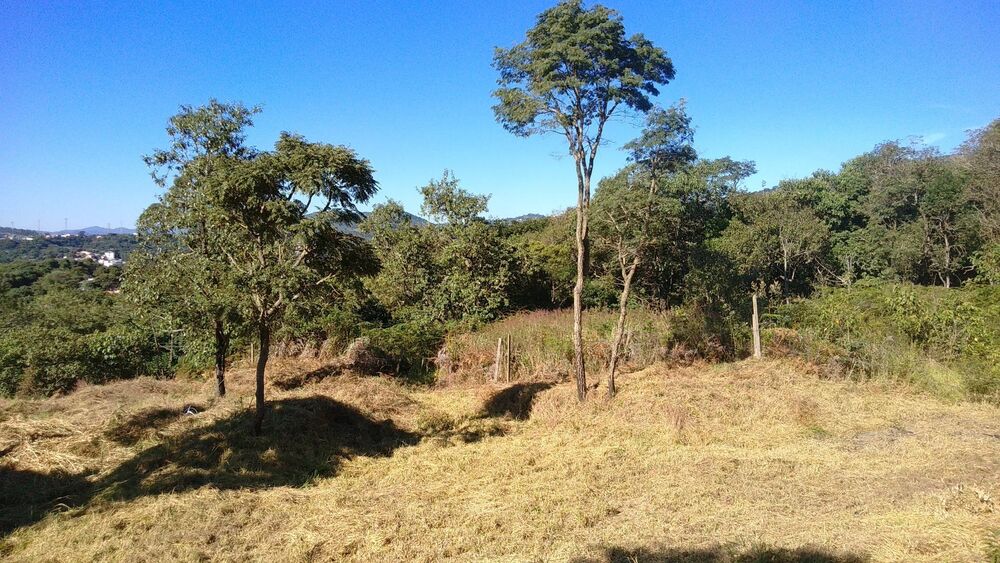 Terreno, 3 hectares - Foto 9