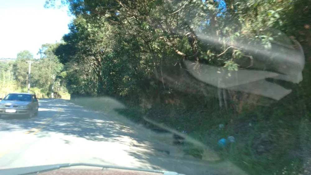 Terreno, 3 hectares - Foto 15