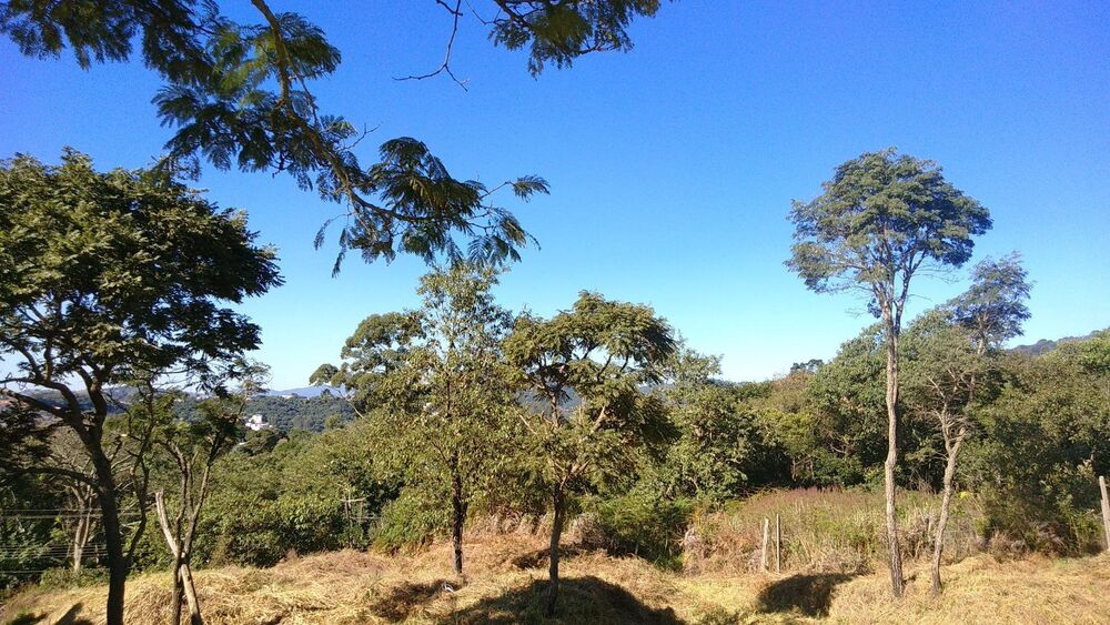 Terreno, 3 hectares - Foto 11