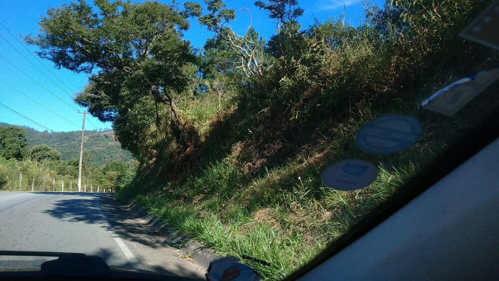 Terreno, 3 hectares - Foto 8