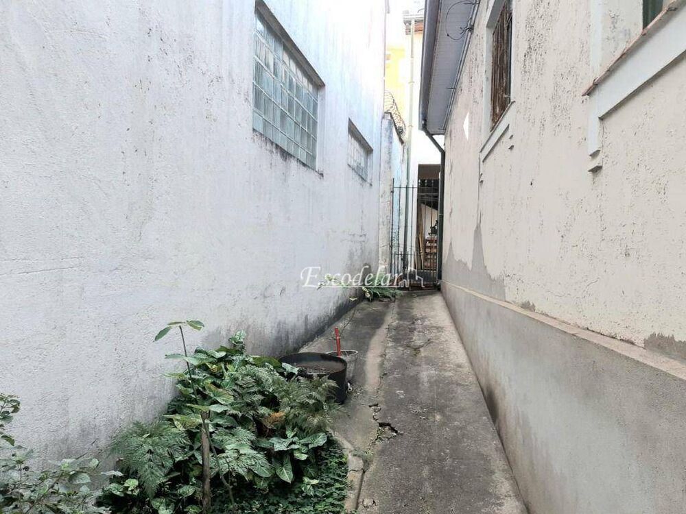 Casa, 3 quartos, 250 m² - Foto 8