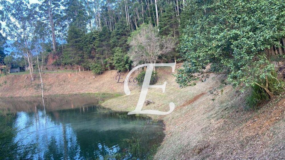 Terreno, 29 hectares - Foto 3