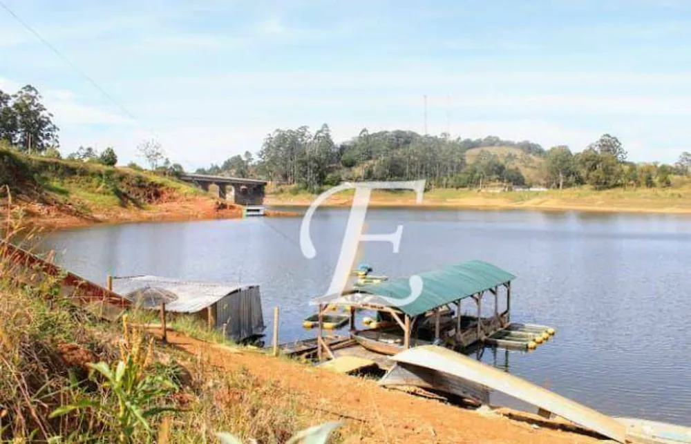 Terreno, 29 hectares - Foto 8