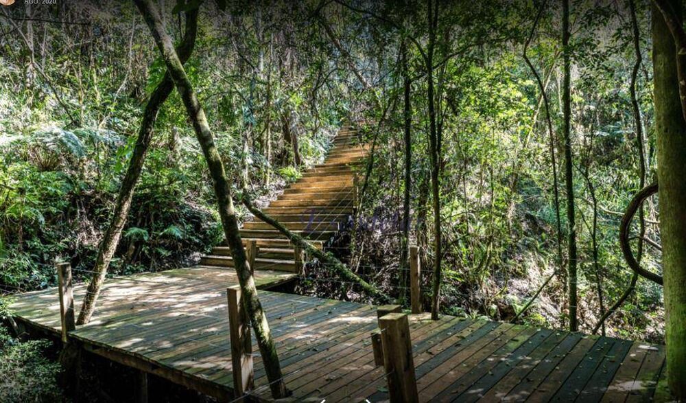 Terreno, 450 m² - Foto 8