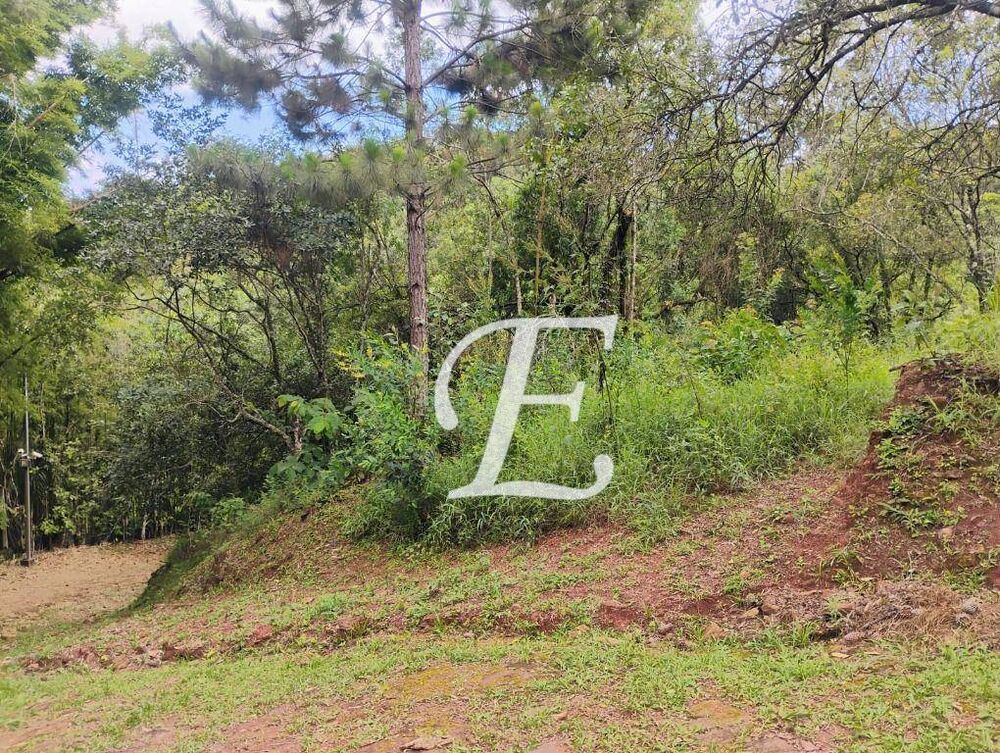 Loteamento e Condomínio, 1140 m² - Foto 3