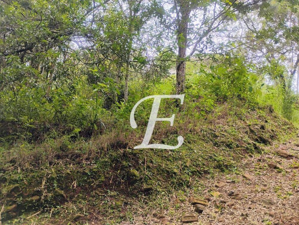 Loteamento e Condomínio, 1140 m² - Foto 4